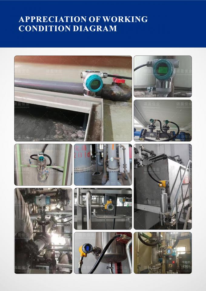 リチウムプラントの直接挿入フォーク密度計 1