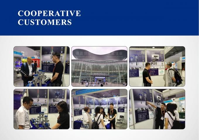 リチウムプラントの直接挿入フォーク密度計 3