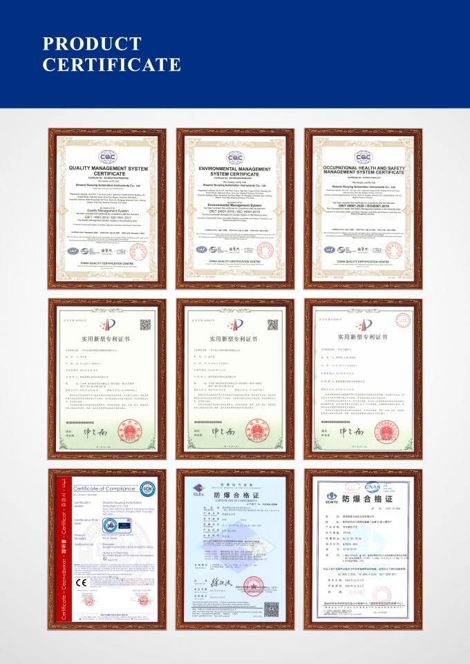 液体測定のためのRF容量レベルスイッチ 高温スラム腐食性液体 7